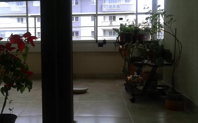 Ankara Balkonu, İnadına Balkon