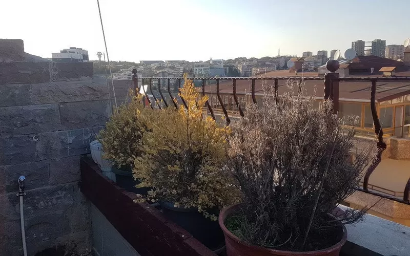 Çiçekli Rüzgâr