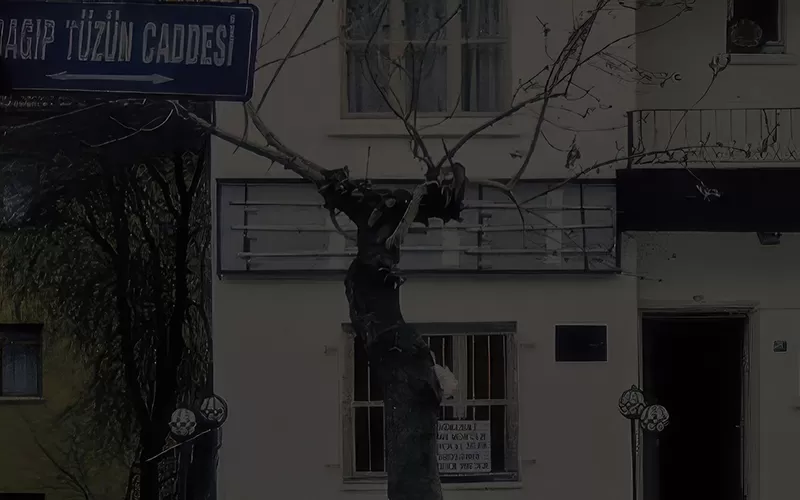 Evler, Evler…